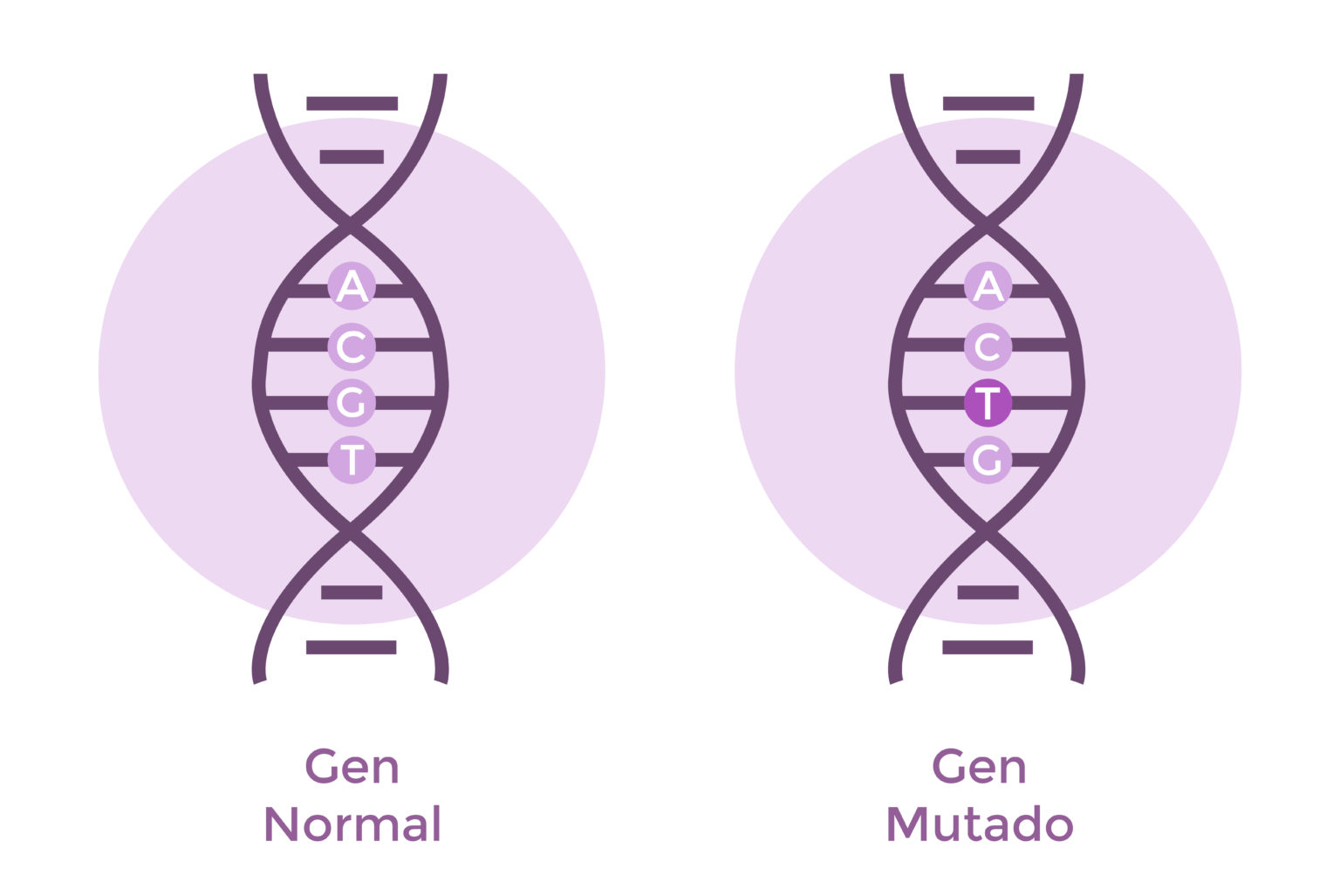 Pruebas Genéticas Preimplantacionales ¿cuándo Y Por Qué Hacerlas Crom Instituto De