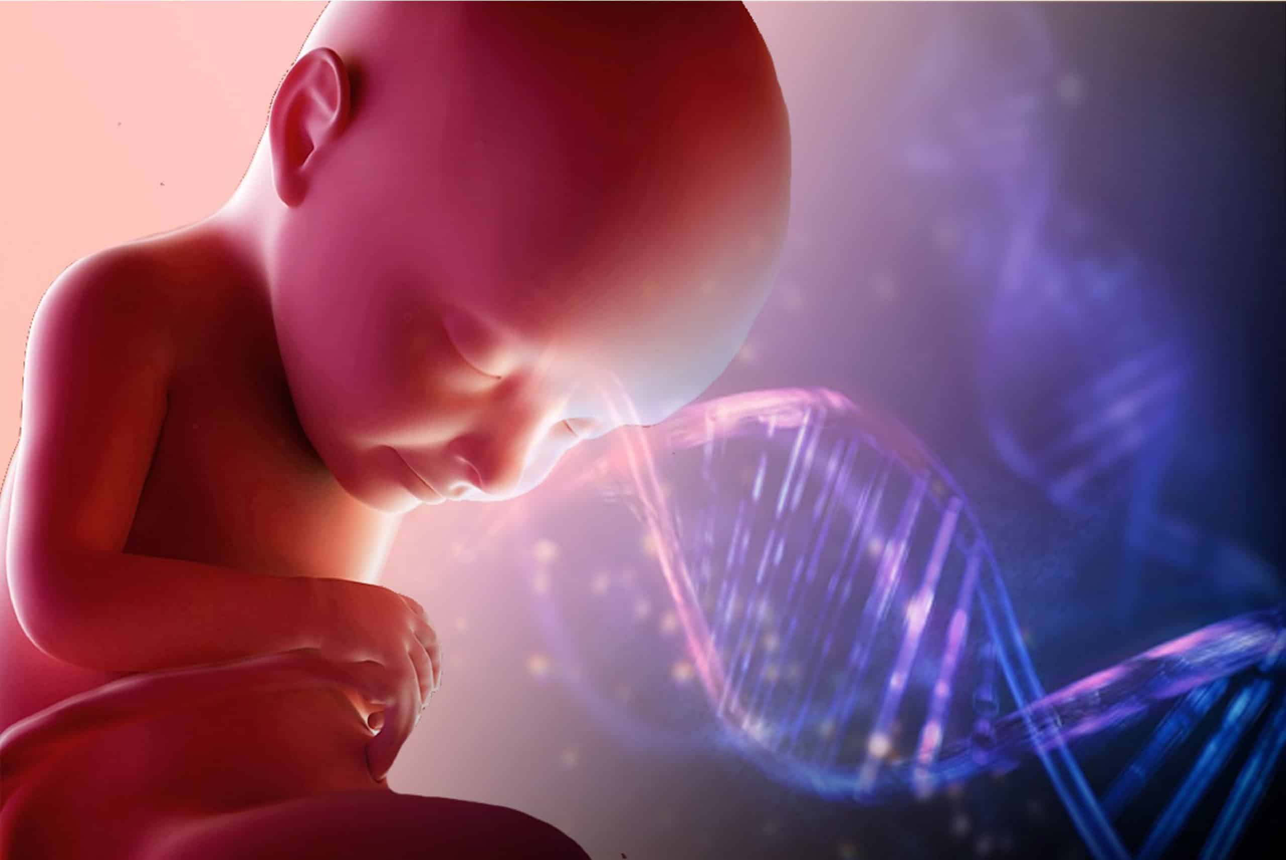 Mosaicismo embrionario